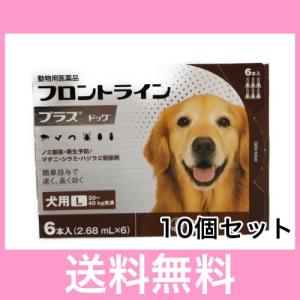 ◎【宅急便・送料無料】犬用　フロントラインプラス　L（20〜40ｋｇ未満）　６本　[10個セット]※期限2026.1　なくなり次第終売｜happymd