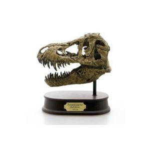 DINOSAUR SKULL＆JAWS MODEL　 恐竜　ティラノサウルス　スカル＆ジョーズモデル　FDS-651　(70551)