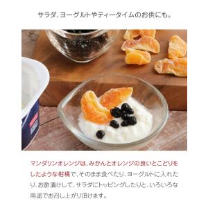 マンダリン オレンジ 45g タイ産 微糖 ド...の詳細画像3