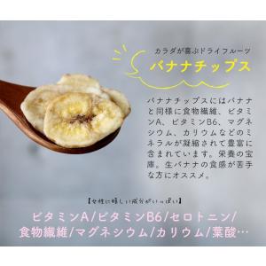 フィリピン バナナチップス 100g 砂糖含有...の詳細画像5