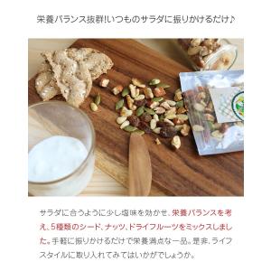 健康の実 ミックス 60g 「ひと噛みごとに広...の詳細画像2