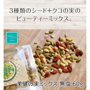 美健の実ミックス 無塩 60g 小分け クコの実 かぼちゃの種 ひまわりの種 松の実 4種類 お家ダイエットおやつ プレゼント HappyNutsCompany 専門店