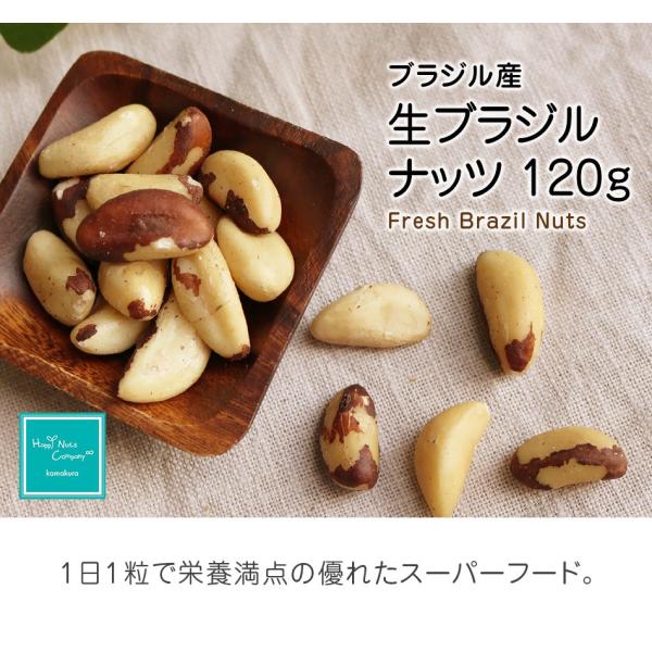生ブラジルナッツ 120g からだ喜ぶ 健康志向 おやつ クセあり ダイエット 抗酸化物質セレン  ...