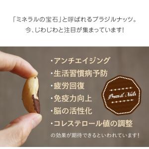 生ブラジルナッツ 120g からだ喜ぶ 健康志...の詳細画像4