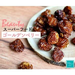 ゴールデンベリー コロンビア産 無添加 90g ドライフルーツ