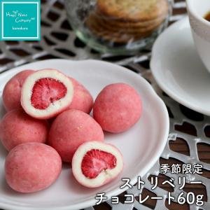 ストロベリー チョコレート 60g フリーズドライ ストロベリー ベルギー産チョコレート使用 プレゼント HappyNutsCompany ホワイトデー