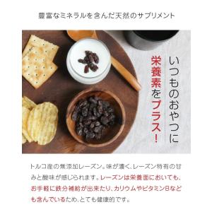 トルコ産レーズン 70g 無添加 砂糖不使用 ...の詳細画像2