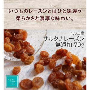 トルコ産 サルタナレーズン 70g 無添加 砂糖不使用 ドライフルーツ 個食 小分けサイス 健康おやつ ミックス カリウム 鉄分 ナッツ 専門店 HappyNutsCompany