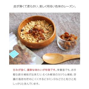 トルコ産 サルタナレーズン 70g 無添加 砂...の詳細画像2