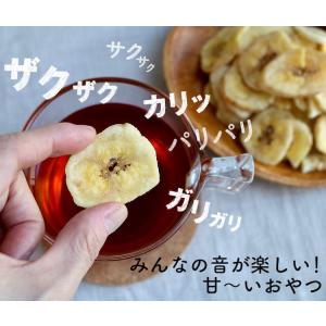 フィリピン バナナチップス ミニ 40g 砂糖...の詳細画像3