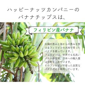 フィリピン バナナチップス ミニ 40g 砂糖...の詳細画像4