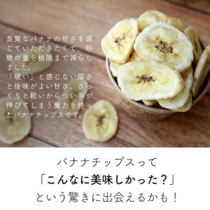 フィリピン バナナチップス ミニ 40g 砂糖...の詳細画像5
