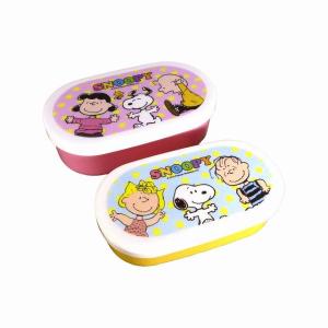 スケーター 保存容器 500ml エアー弁ふわっと保存容器 L スヌーピー 2