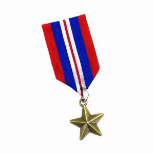 バッジ ミリタリー 勲章 茶色 メダル cq10 勲章バッジ ワッペン風 WP