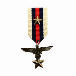 バッジ ミリタリー 勲章 茶色 イーグル cd2 勲章バッジ ワッペン風 WP