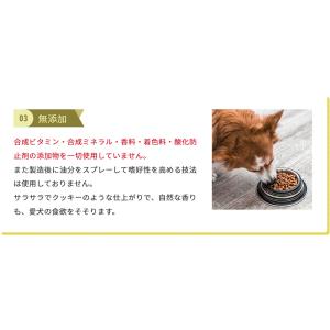 国産無添加ドッグフード 北海道の恵 初回お試し...の詳細画像4