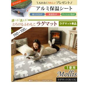 ホットカーペットカバー 洗える 1畳用 190ｘ100 送料無料 当日発送可能 ホットカーペット おしゃれ