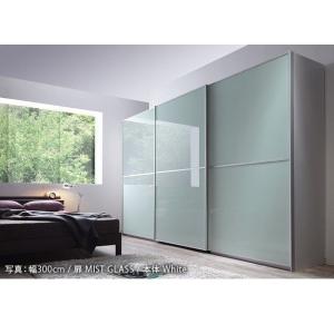 引き戸 おしゃれ ベッド 幅100cm 収納 クローゼット ワードローブ アルミフレーム大型スライドドア 幅100cm