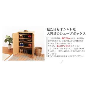 靴箱 おしゃれ 通気性抜群ルーバー式シューズボ...の詳細画像5