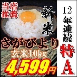 29年度産発送絶品特A九州佐賀県 さがびより玄米10kg一等...