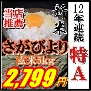 29年産絶品特A★さがびより玄米5kg九州佐賀県一等米8年連...