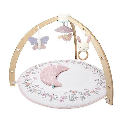 aden * anais(エイデンアンドアネイ) 日本正規品 activity gym アクティビテ...