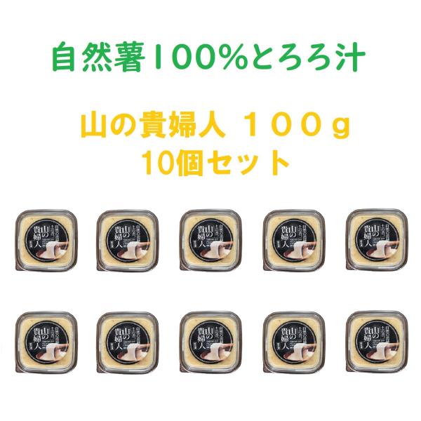 静岡県産 自然薯とろろ汁 山の貴婦人 100g・10個セット 【尾白弁当】  冷凍