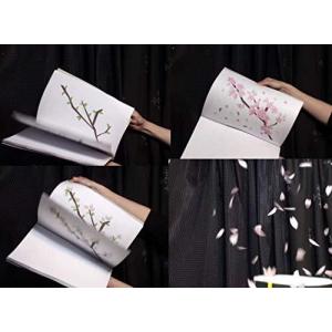 桜の枝のイラストの商品一覧 通販 Yahoo ショッピング