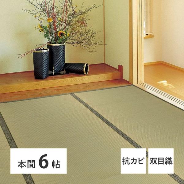 い草ラグ 夏 6畳 286×382cm 本間 ござ 畳マット