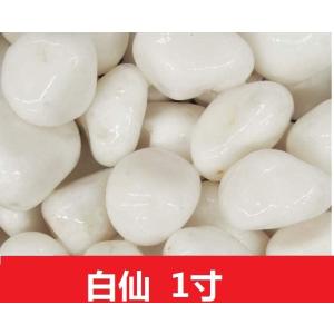 砂利　白　白玉砂利　白仙　最高級　1寸　30-40mm　800g　 庭 防草 防犯 玉砂利｜happystoneshop