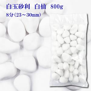 白玉砂利最高級白仙8分23-30ｍｍ　800g　おしゃれ庭造り　敷き砂利
