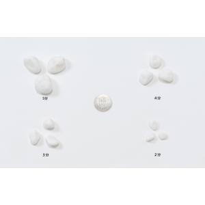 砂利 白 玉砂利 2分 4-7mm 650g ...の詳細画像1
