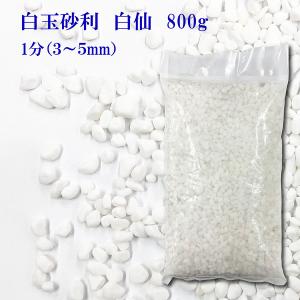 白玉砂利 白仙　ホワイト 化粧砂利 1分 (３mm〜５mm)