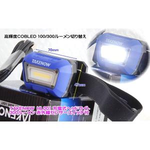 トゥルーライト (PT-L001) 本体 / 充電式調色用ライト オートビジネス