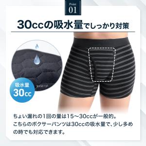 3L 4L 5L 日本製防水布使用 メンズ ち...の詳細画像2