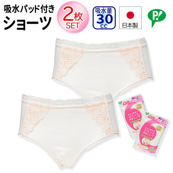 日本製 ピップ 30cc レディース 失禁パンツ 尿漏れパンツ 2枚セット 抗菌 防臭 消臭 尿もれ...