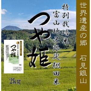 令和7年産 玄米30kg 島根県産きぬむすめ 送料無料（一部地域を除く 