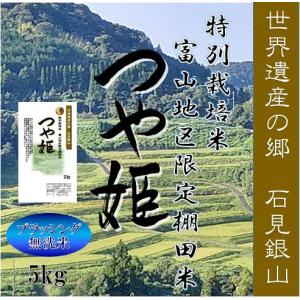 令和7年産 玄米30kg 島根県産きぬむすめ 送料無料（一部地域を除く