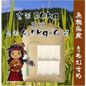 新米 米 30kg 玄米 きぬむすめ 農家直送 晴れの国岡山 岡山の米 ランク