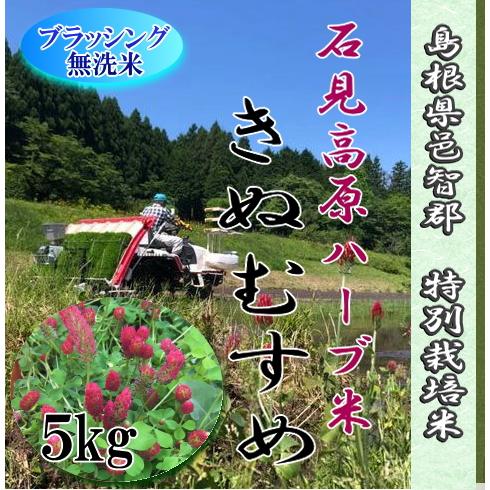 【新米】令和7年産　1等米　無洗米5kg ／ おおち石見高原ハーブ米　きぬむすめ　特別栽培米