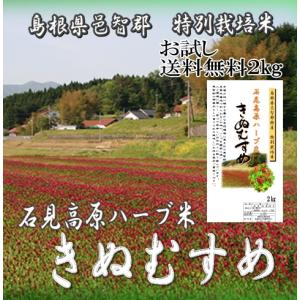 令和7年産 玄米30kg 島根県産きぬむすめ 送料無料（一部地域を除く 