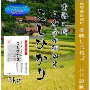 令和7年産 玄米30kg 島根県産きぬむすめ 送料無料（一部地域を除く