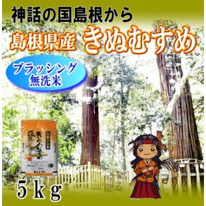 新米 玄米20Kg 島根県産 お米 島根米　きぬむすめ　令和7年 令和7年産 玄米30kg 島根県産きぬむすめ 送料無料（一部地域を除く