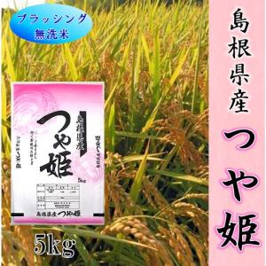 令和7年産 玄米30kg 島根県産きぬむすめ 送料無料（一部地域を除く