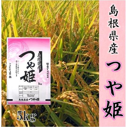 令和5年産　お米5kg 島根県産　つや姫　 １等米