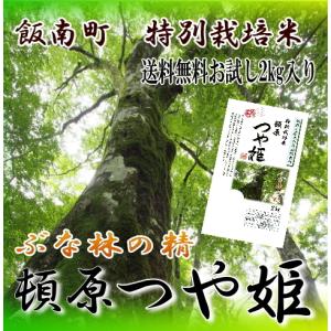 令和7年産 玄米30kg 島根県産きぬむすめ 送料無料（一部地域を除く