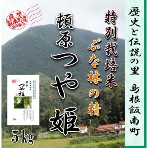 令和5年産　5kg ／ 島根県産つや姫　1等米　飯南町頓原地区限定　特別栽培米　大万木山ブナ林の精