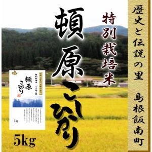 令和7年産 玄米30kg 島根県産きぬむすめ 送料無料（一部地域を除く