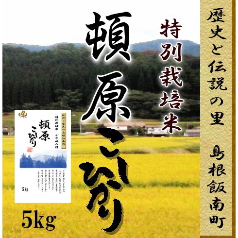【新米】令和7年産　お米白米5kg /島根県飯南町頓原コシヒカリ　特別栽培米 １等