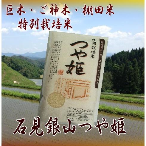 令和5年産　お米2kg ／ 石見銀山棚田米ご神木米　つや姫　特別栽培米　1等米　【送料無料】一部地域...